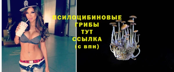 гашик Балахна