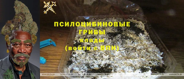 гашик Балахна