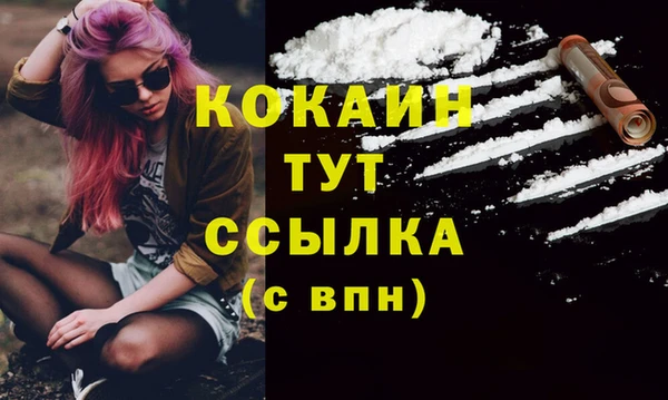 гашик Балахна