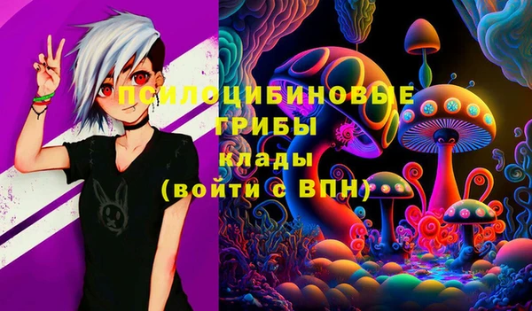 гашик Балахна
