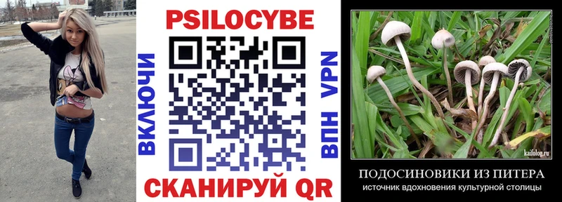 Псилоцибиновые грибы Cubensis  что такое наркотик  Ульяновск 