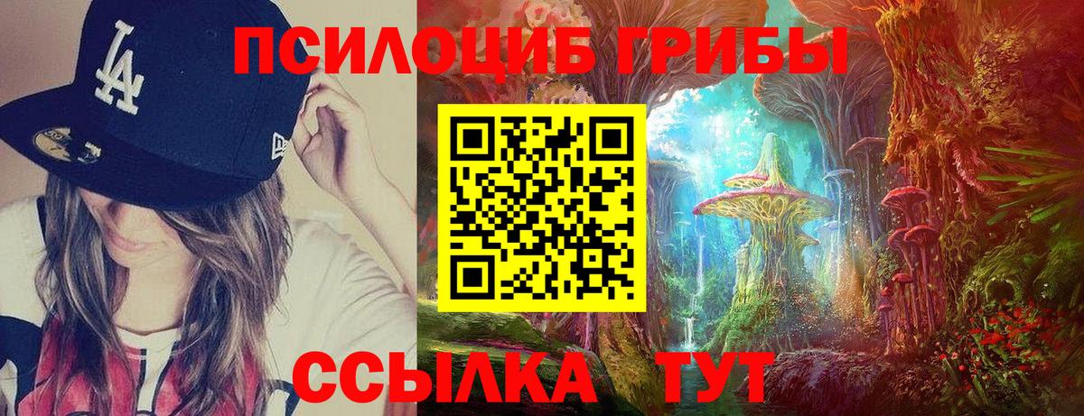 Галлюциногенные грибы Psilocybe Ульяновск